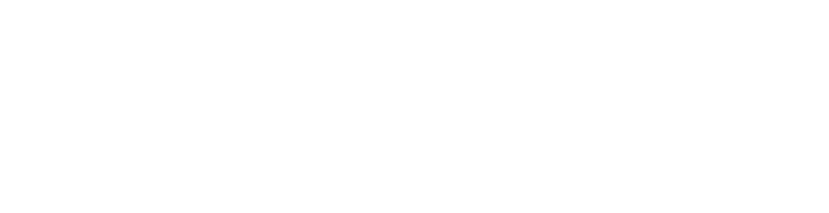 Гарантия 100%